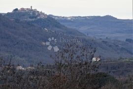 Vrh - teren samo za znalce istančanog ukusa, Buzet, Arazi