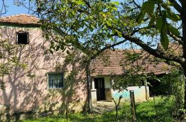 Pitomača, Velika Črešnjevica, poljoprivredno imanje, 4.024 m2, Pitomača, Kuća