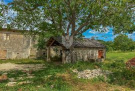 Centralna Istra, odlična kuća sa dozvolom za renovaciju, Sveti Petar U Šumi, Kuća