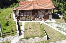 Imanje sa dvije kuće i bazenom Ilovice, Trnovo, Maison