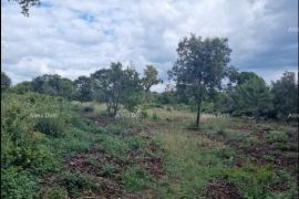 Poljoprivredno zemljište Prodajemo 8 parcela, Marčana, Arazi