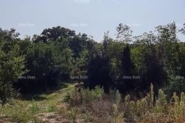 Poljoprivredno zemljište Prodaja poljoprivrednog zemljišta, blizu Labina, Labin, Terreno