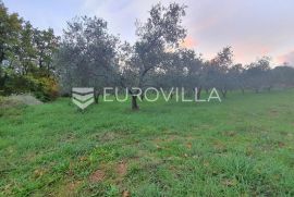 Istra, Krnica, maslinik na parceli od 4270 m2, Marčana, Terreno