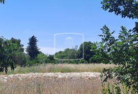Pridraga - Građevinsko zemljište 433m2! 67000€, Novigrad, أرض