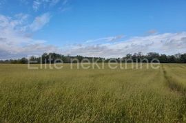 Vižinada - prodaja poljoprivrednog zemljišta, 35.500 m2, Vižinada, Terreno
