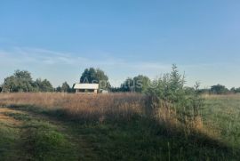 Ekološko imanje,uređeno poljoprivredno zemljište, Svetvinčenat, Svetvinčenat, Земля