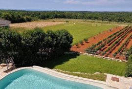 Kuća Prodaje se  ekskluzivna vila sa bazenom u Vižinadi, Vižinada, Casa