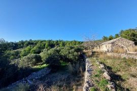 Poljoprivredno zemljište sa kamenom kućicom, uvala Gršćica na otoku Korčula, Blato, Terrain