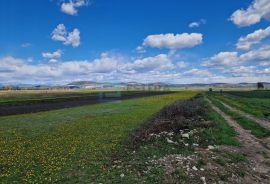 Poljoprivredno zemljište PRODAJA - Biograd na Moru 4.981 m2, Biograd Na Moru, Arazi