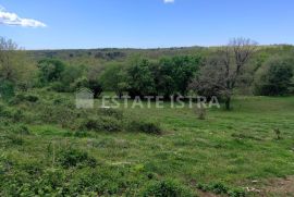 Veliko povoljno građevinsko zemljište, Barban, Terra