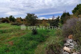Prodaje se poljoprivredno zemljište površine 17112 m2 u blizini Marčane po cijeni od 5,49 EUR/m2, Marčana, Arazi