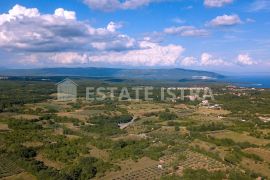 Pavićini, poljoprivredno zemljište 353 m2, Marčana, Terreno