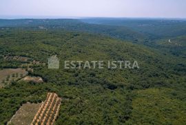 Poljoprivredno zemljište 77 321 m2 u blizini Marčane, Marčana, Terra