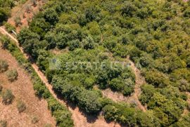 Poljoprivredno zemljište 77 321 m2 u blizini Marčane, Marčana, Arazi