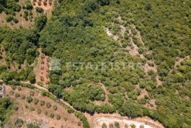 Poljoprivredno zemljište 77 321 m2 u blizini Marčane, Marčana, Zemljište