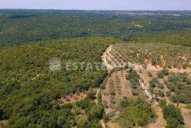 Poljoprivredno zemljište 77 321 m2 u blizini Marčane, Marčana, Tierra