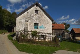 Brinje, seosko imanje sa kućom i 13580 m2 zemlje, Brinje, Maison