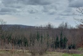 ISTRA, PIĆAN - Poljoprivredno zemljište od 4.227 m2, Pićan, Земля