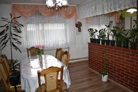 Obiteljska kuća s velikim zemljištem i uređenom okućnicom, Bjelovar - Okolica, Kuća