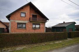 Obiteljska kuća s velikim zemljištem i uređenom okućnicom, Bjelovar - Okolica, Haus
