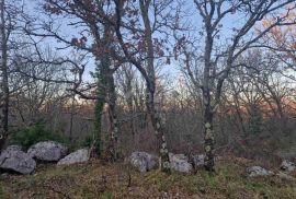 ISTRA, LABIN - Hrastova šuma za siječu 39.294m2, PRILIKA, Labin, Terreno
