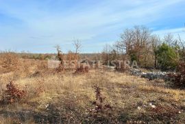 Prodaje se poljoprivredno zemljište u Bonašinima, Svetvinčenat, Земля
