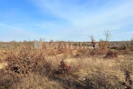 Prodaje se poljoprivredno zemljište u Bonašinima, Svetvinčenat, Земля
