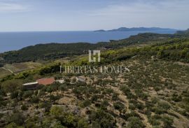 Prodaja imanja s ruševinama i nevjerojatnim zemljištem na otoku Šipanu kraj Dubrovnika, Dubrovnik - Okolica, Casa