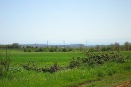 Poljoprivredno zemljište s pogledom na more, Tar, Land