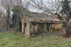 Kamena istarska kuća u okolici Buja, Buje, Σπίτι