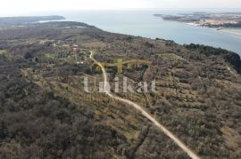 Investicijsko zemljište u blizini mora za izgradnju više vila ili hotela, Tar-Vabriga, Земля