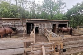 Ranč u Vinodolskoj dolini, Vinodolska Općina, Terreno