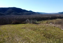 ISTRA, MOTOVUN - Građevinsko zemljište 2354m2 sa pogledom na Motovun, Buzet, Terreno