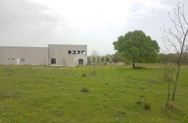 ISTRA, BARBAN - Građevinsko zemljište sa proizvodnom halom, 29456 m2, Barban, Land