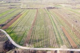 Imotski poljoprivredno zemljište 7000 m2, Imotski, Terreno