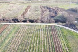 Imotski poljoprivredno zemljište 4718 m2, Imotski, Terreno