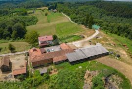 VRGINMOST, BLATUŠA - Veliko imanje s uhodanim poslom! 40 hektara zemljišta!, Gvozd, Terra
