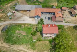 VRGINMOST, BLATUŠA - Veliko imanje s uhodanim poslom! 40 hektara zemljišta!, Gvozd, Arazi
