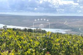 Posedarje - 26.125m2 vinograd vrsne francuske sorte + zemljište! 390000€, Posedarje, Земля