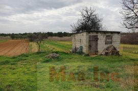 PRIVLAKA - kamena kuća sa velikom okućnicom, Privlaka, Casa