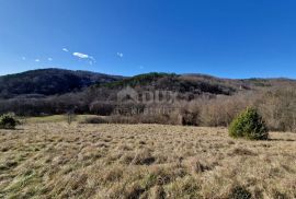 ISTRA, PAZIN - Istarska kamena kuća u srcu prirode, na prostranoj okućnici, Pazin, بيت