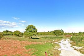 ISTRA, BARBAN - Pogodna prilika za investiciju; atraktivno zemljište, Barban, Γη