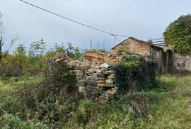 ISTRA, OPRTALJ - Imanje s 4 istarske kamene ruševine na velikoj parceli, Oprtalj, Ev