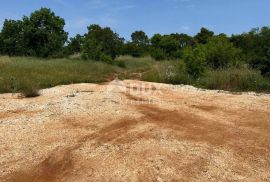 ISTRA, BARABAN - Građevinsko zemljište na rubu naselja, Barban, Arazi