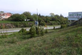 KUKULJANOVO, ČAVLE- starina 200m2 + građevinsko zemljište 2350m2 u industrijskoj zoni (namjena: trgovačka, zanatska, industrijska), Čavle, Haus