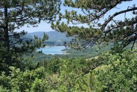 ISTRA, PAZIN, GRIMALDA - Prelijep maslinik s pogledom na jezero, Cerovlje, Γη