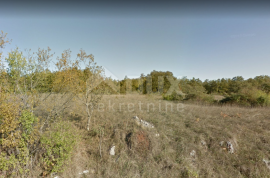 ISTRA, BARBAN Prostrano zemljište s prekrasnom šumom!, Barban, Terreno