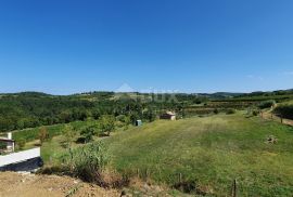 ISTRA, MOMJAN - Prekrasna vila s bazenom i pogledom na vinograde i maslinike, Buje, Casa