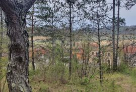 ISTRA, PAZIN, CEROVLJE - Prostrano građevinsko zemljište u srcu Istre, Cerovlje, Terreno