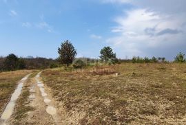 ISTRA, GRAČIŠĆE - Vinograd, maslinik, livada i šuma s prekrasnim pogledom, Gračišće, Terrain